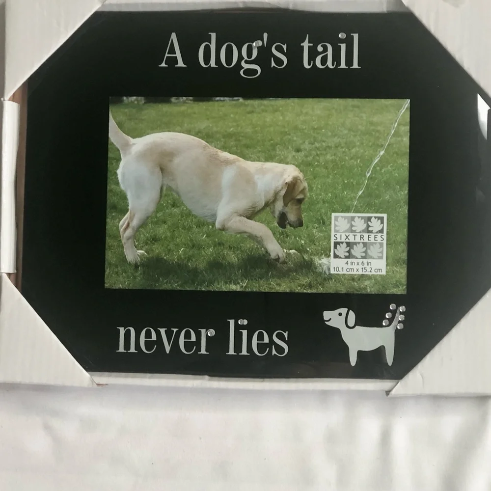 Christmas Pet Dog black glossy picture frame A Dogs Tail Never Lies 4” x 6”